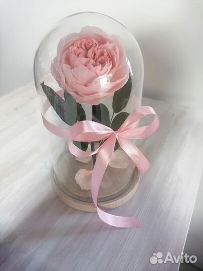 Роза в колбе с подсветкой