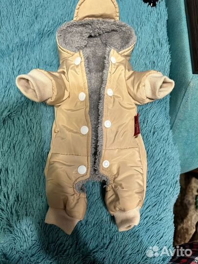 Зимний комбинезон для маленьких пород