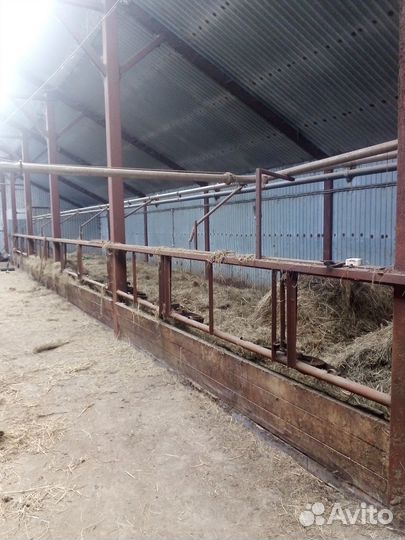 Доильная установка молоко провод на 50 голов