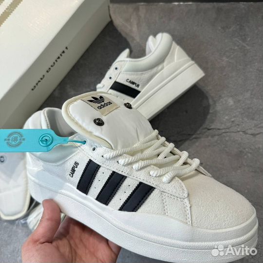 Adidas campus bad bunny