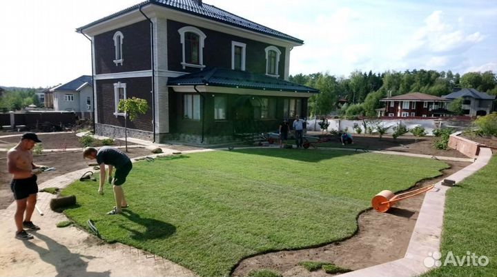 Рулонный газон под ключ