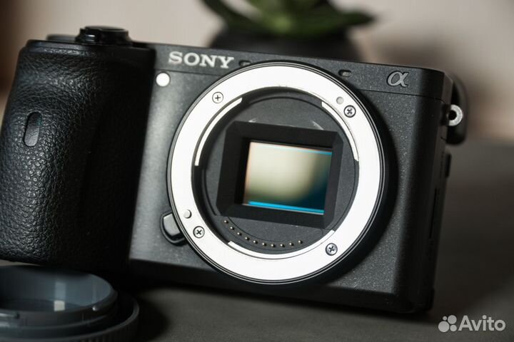 Sony a6600 body