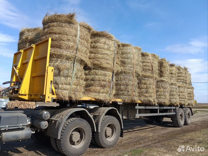 Сено в рулонах и тюках