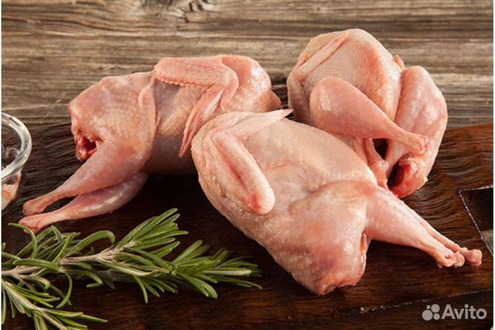 Мясо домашних гусей,уток,кур и перепелок