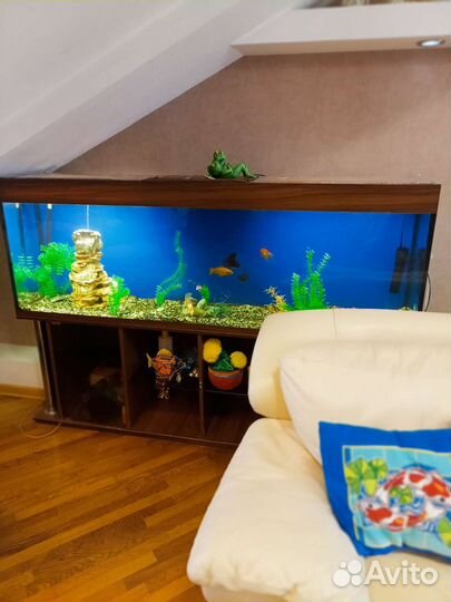 Аквариум