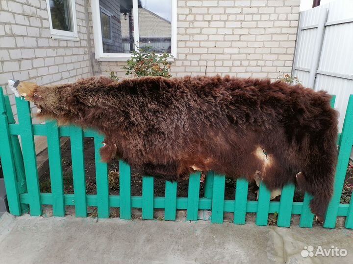 Шкура медведя имитация