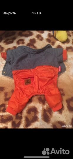 Одежда для маленьких собак