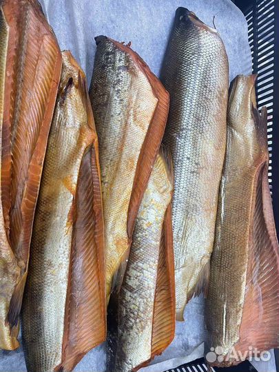 Рыба холодного копчения,камчатка,консервы