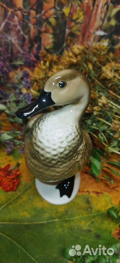 Утка чирок фарфоровая статуэтка