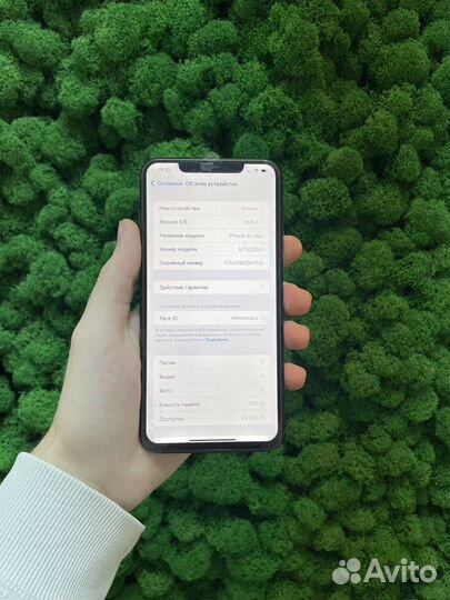 iPhone Xs Max, 256 ГБ