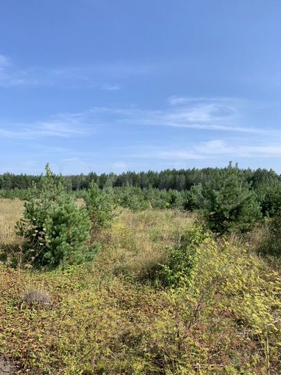 Участок 17 сот. (СНТ, ДНП)