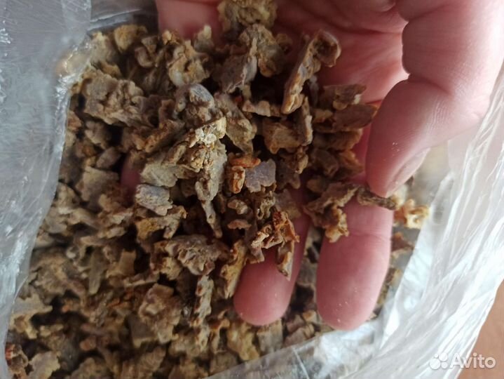 Прополис пчелиный