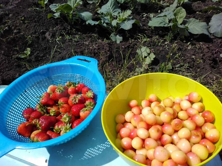 Участок 15 сот. (СНТ, ДНП)