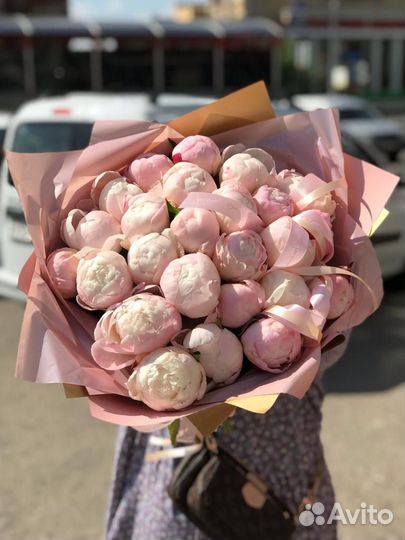 Пионы голландские опт