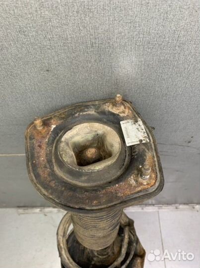 Амортизатор задний левый Kia Cerato 1 хетчбэк 1.6