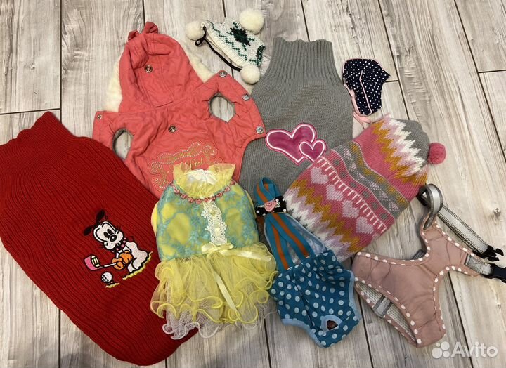 Одежда/игрушки для собак мелких/средних пород