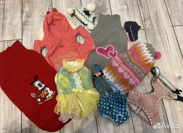 Одежда/игрушки для собак мелких/средних пород