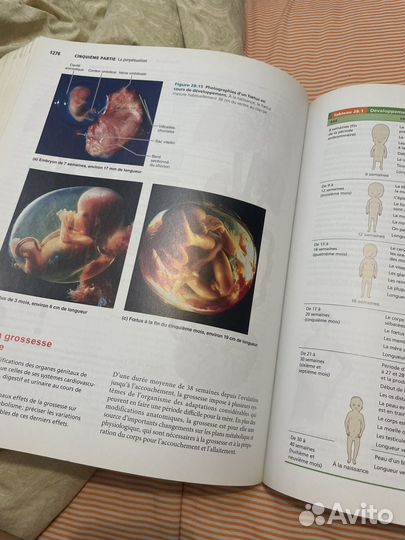 Книга анатомия