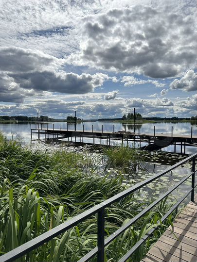 Участок 8 сот. (ИЖС)