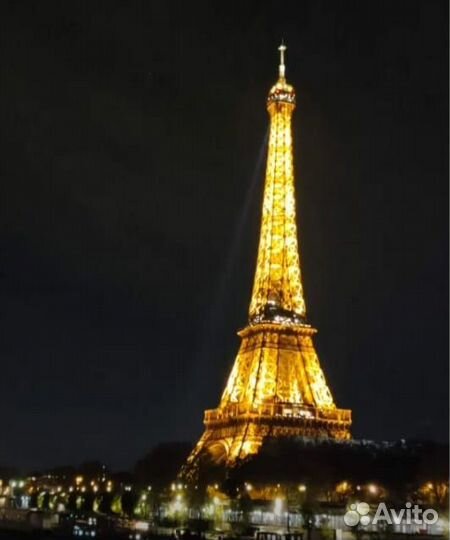 Репетитор по французскому языку