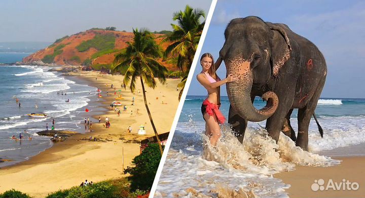 Горящие туры на Гоа из Екатеринбурга Индия