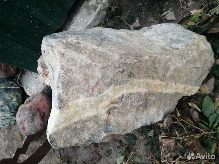 Окаменелости