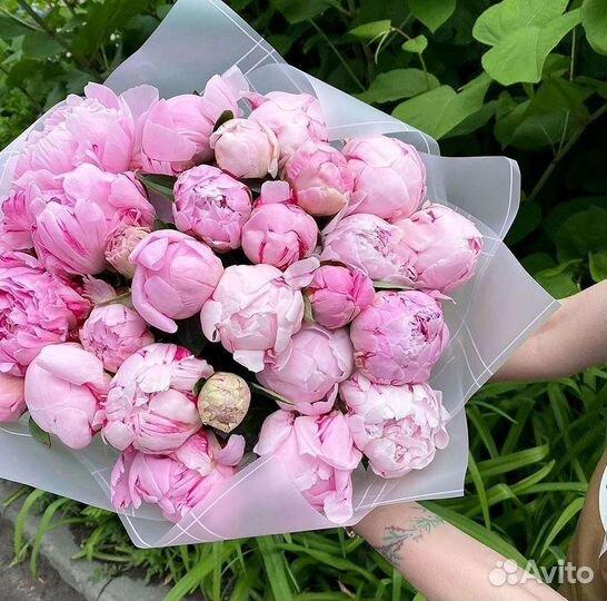 Пионы Букеты Цветы Доставка