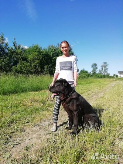 Повар, повар-универсал, любая другая с обучением