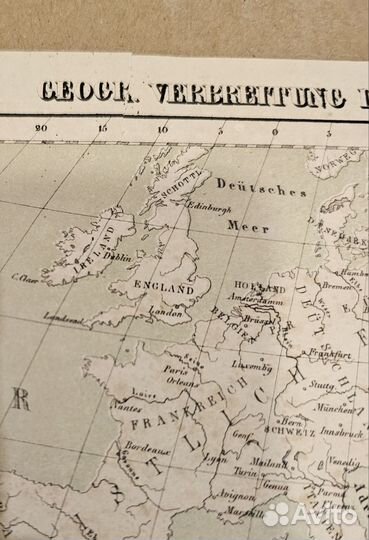 Карта мусульманских стран. 1852-1859