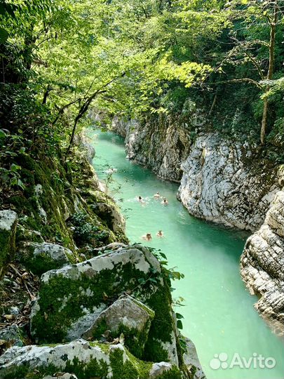 Большое кольцо Тисо-Самшитовой рощи + каньон