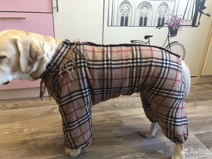 Куртка для собак