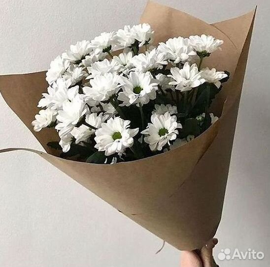 Хризантема Доставка цветов Букеты