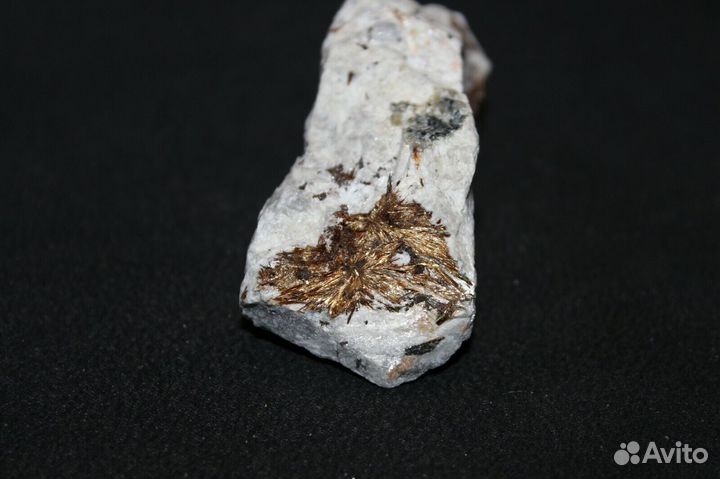 Астрофиллит 136