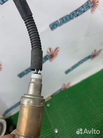 Лябдозонд Subaru Forester SF