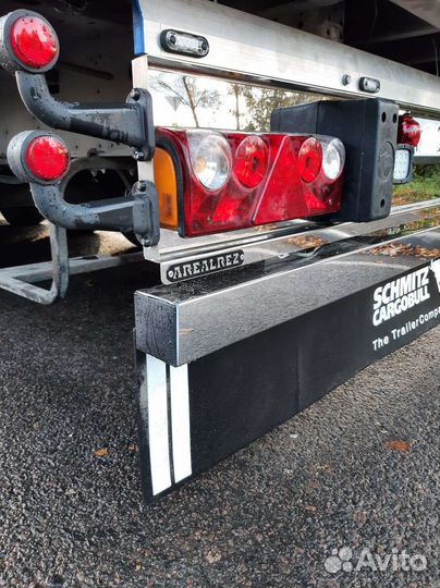 Задняя панель зеркальная Schmitz