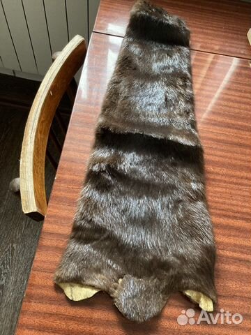 Меха. Шкурка норки