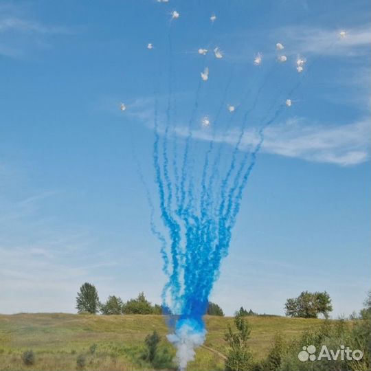 Салют для гендер пати дневной веерный