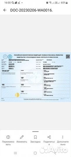 Курцхаар вязка