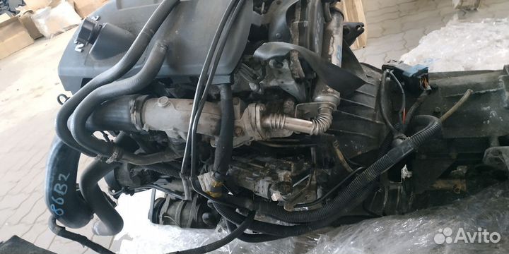 Двс Iveco Daily 2.3 Ивеко Дейли