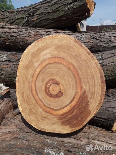 Подставки из среза/спила дуба (под заказ)