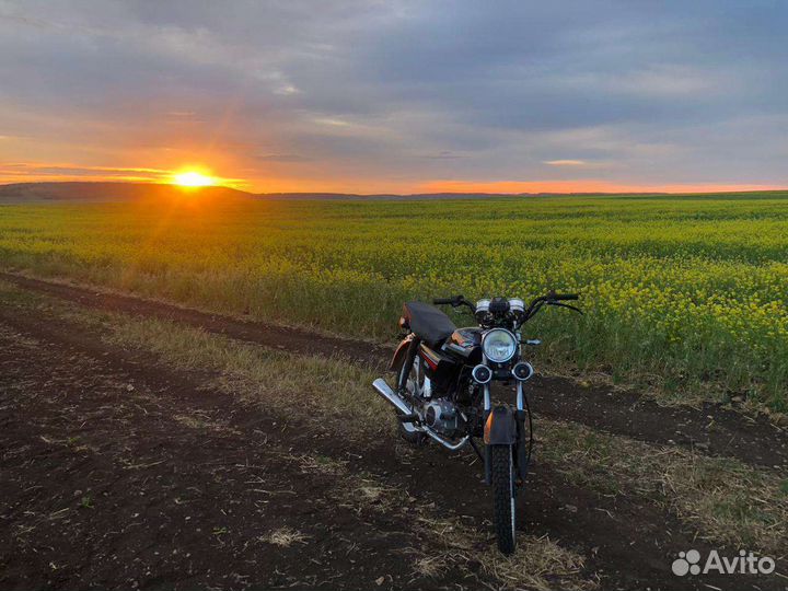 Мопед альфа classic 125