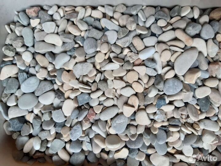 Грунт для суккулентов, универсальный грунт