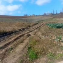 Участок 6 га (СНТ, ДНП), Ходжалы