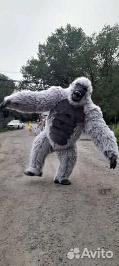 Поздравление в Кургане. Орангутанг на праздник