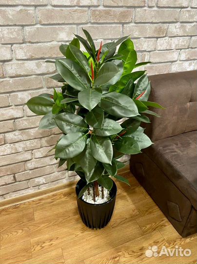 Фикус Лирата, пальма, искусственное дерево