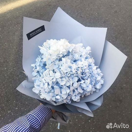 Букет Гортензии