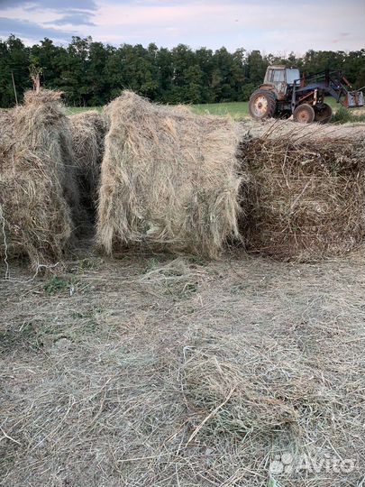 Сено в рулонах
