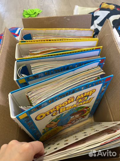 Открой мир с Волли