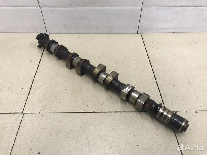 Распредвал выпускной Aveo (T300) 2011