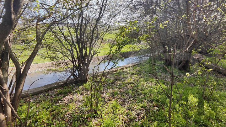 Участок 25 сот. (СНТ, ДНП)